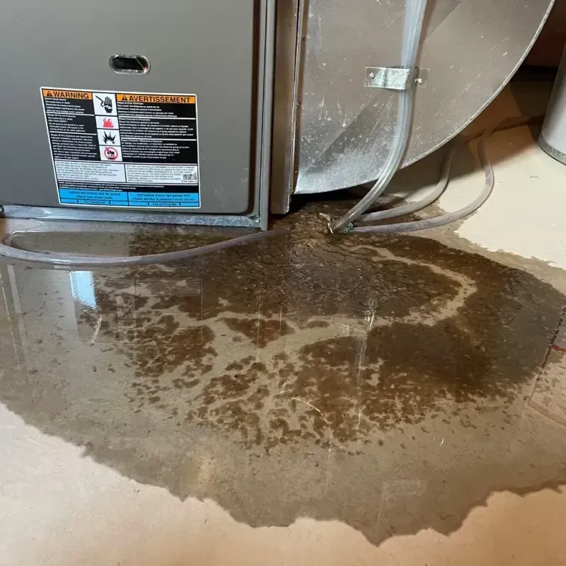 Appliance Leak Cleanup in Helena, OK